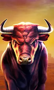 Black Bull